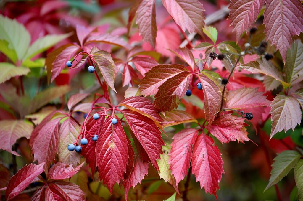 巻き肩を修正するための効果的な方法は？