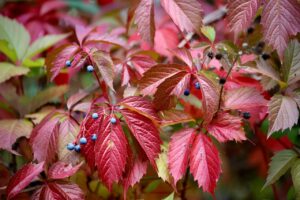 巻き肩を修正するための効果的な方法は？