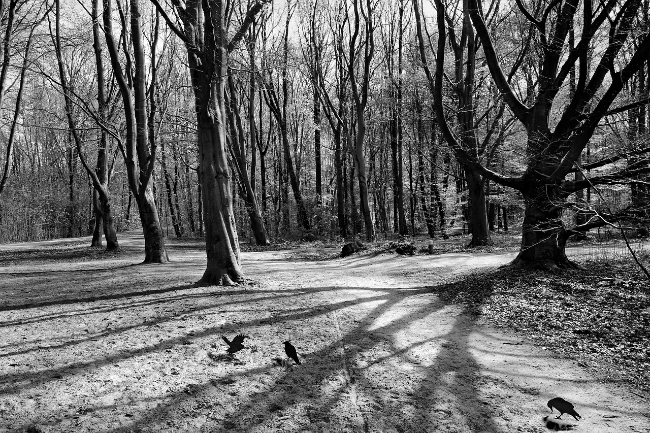 オフ日を活用した運動法とはどのようなものですか？