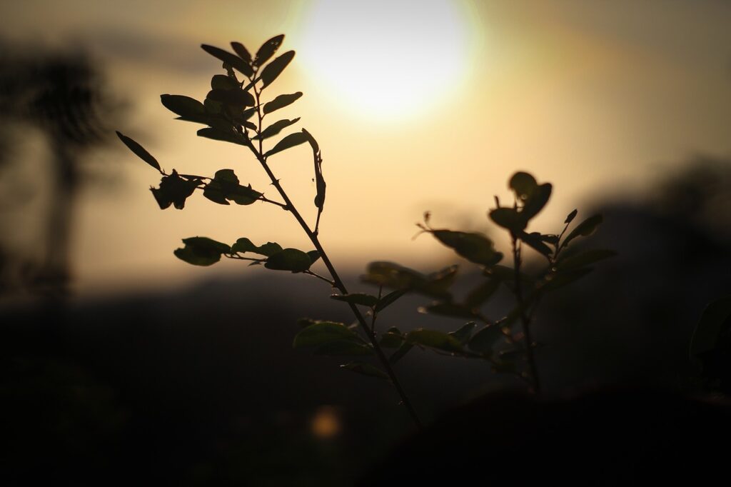 夜遅くにジムを利用する際の注意点とは？