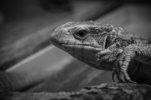 ジムの相性を判断するためのポイントは？