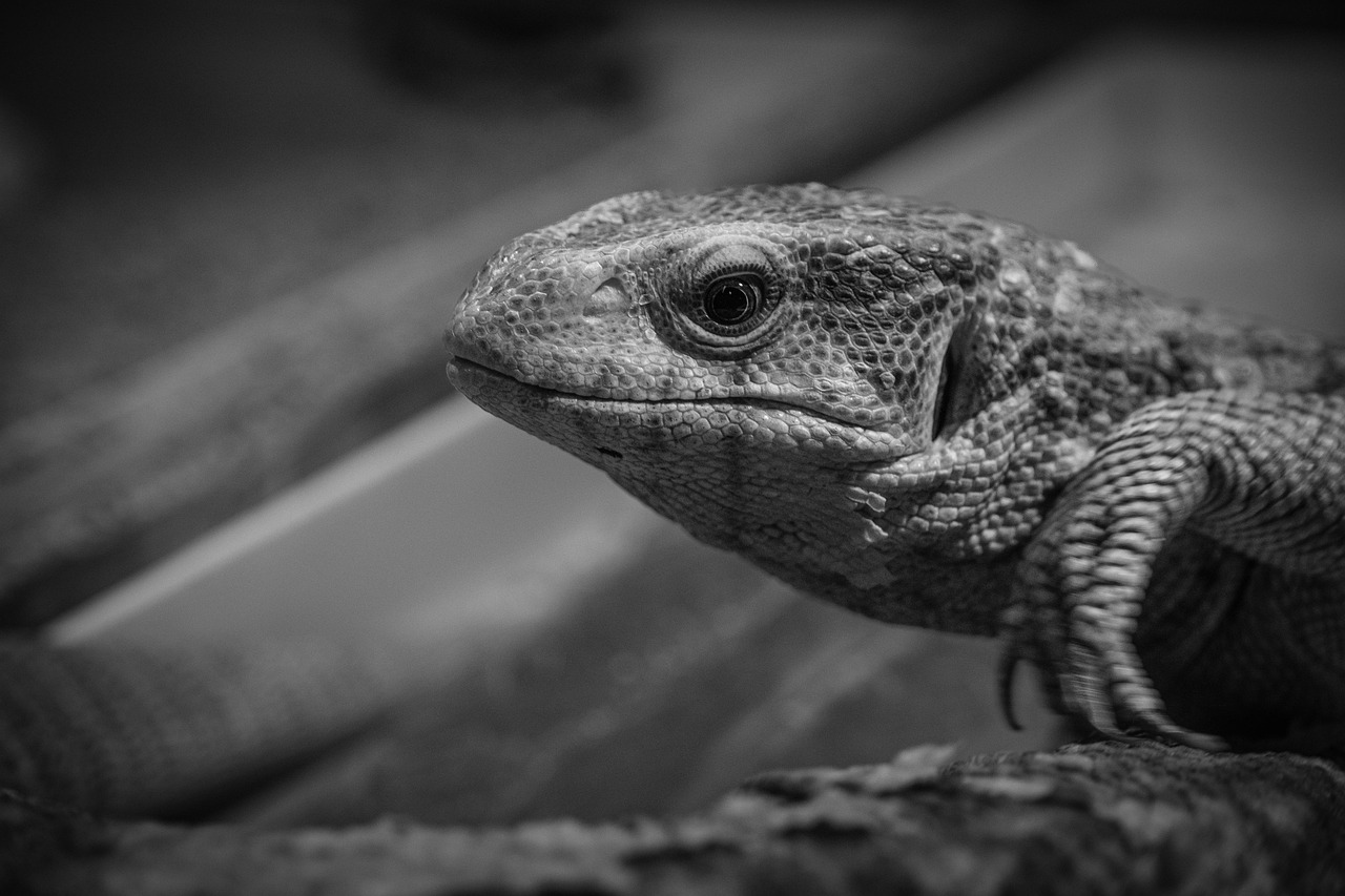 ジムの相性を判断するためのポイントは？